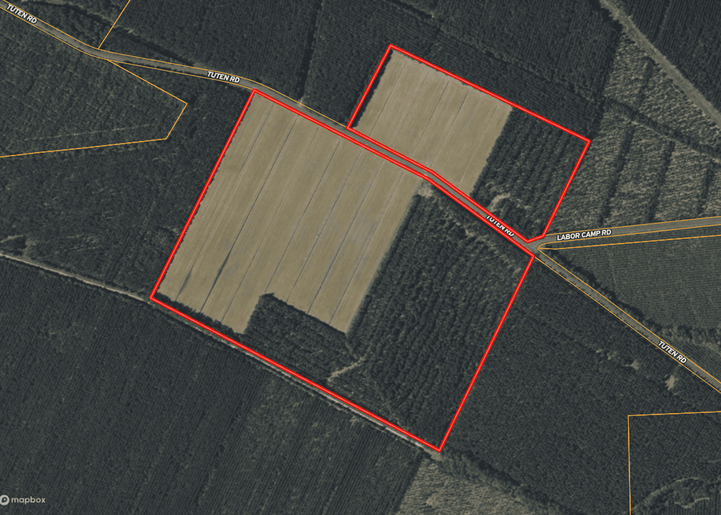 125 Acres of Farmland & Timberland on Tuten Road for Sale